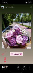 FameUp - Floraria V
